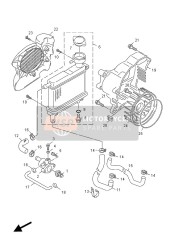 Radiator & Hose